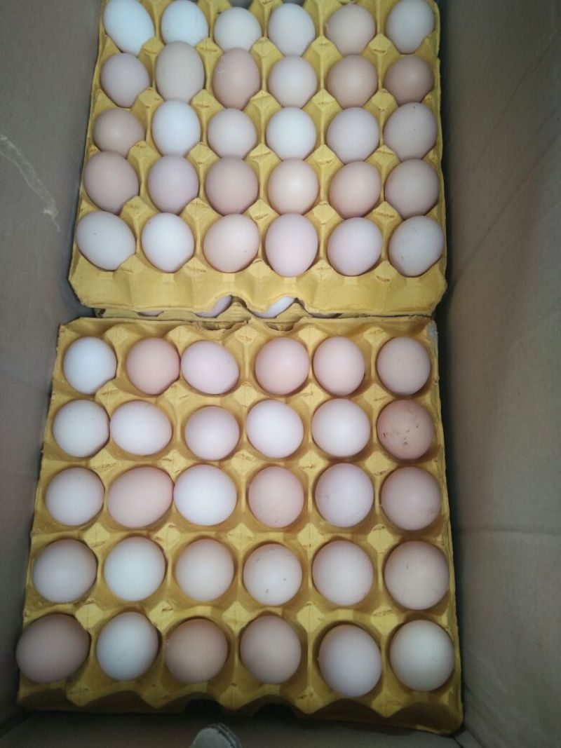 土鸡蛋50g以下食用