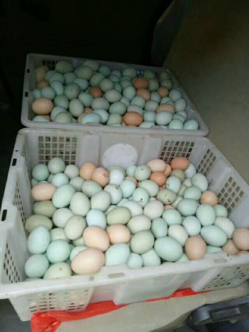 绿壳鸡蛋50g以下食用