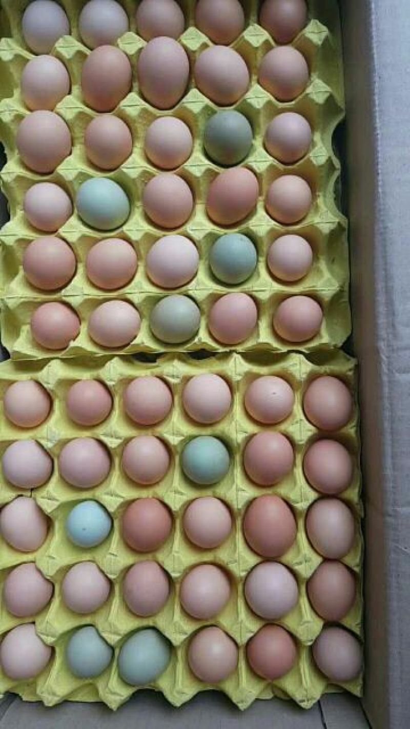 绿壳鸡蛋50g以下食用