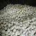 雅安市汉源县金花梨纸袋350~400g