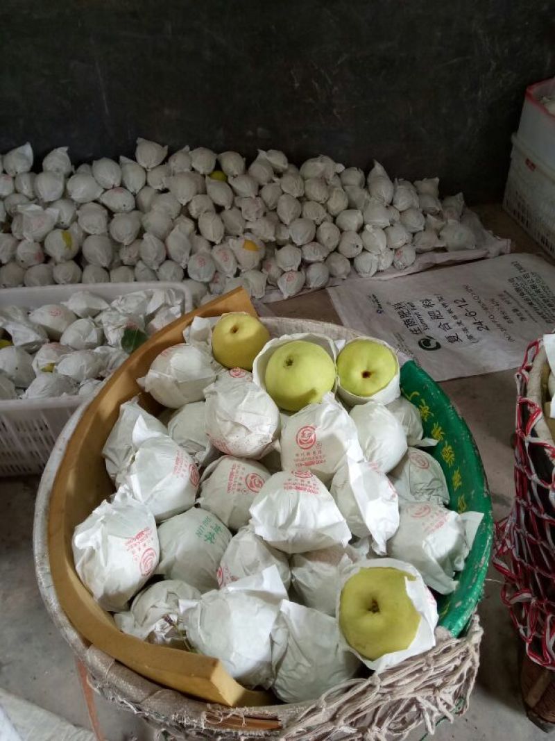 雅安市汉源县金花梨纸袋350~400g