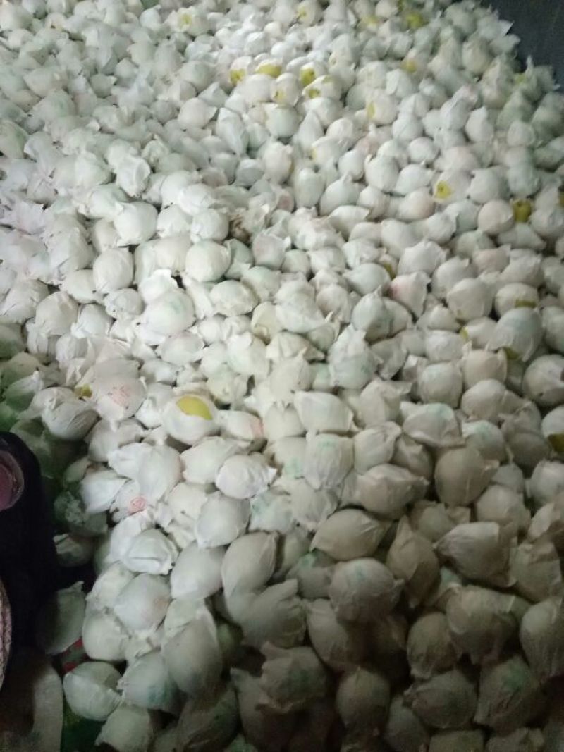 雅安市汉源县金花梨纸袋350~400g