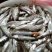 青虾冰鲜虾26~30只/kg