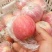 红星苹果80mm以上纸袋