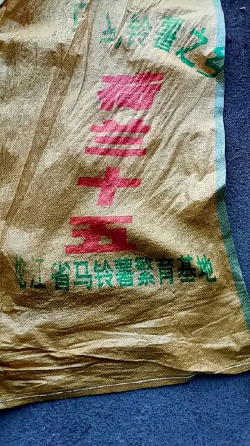 闽薯2两以上通货