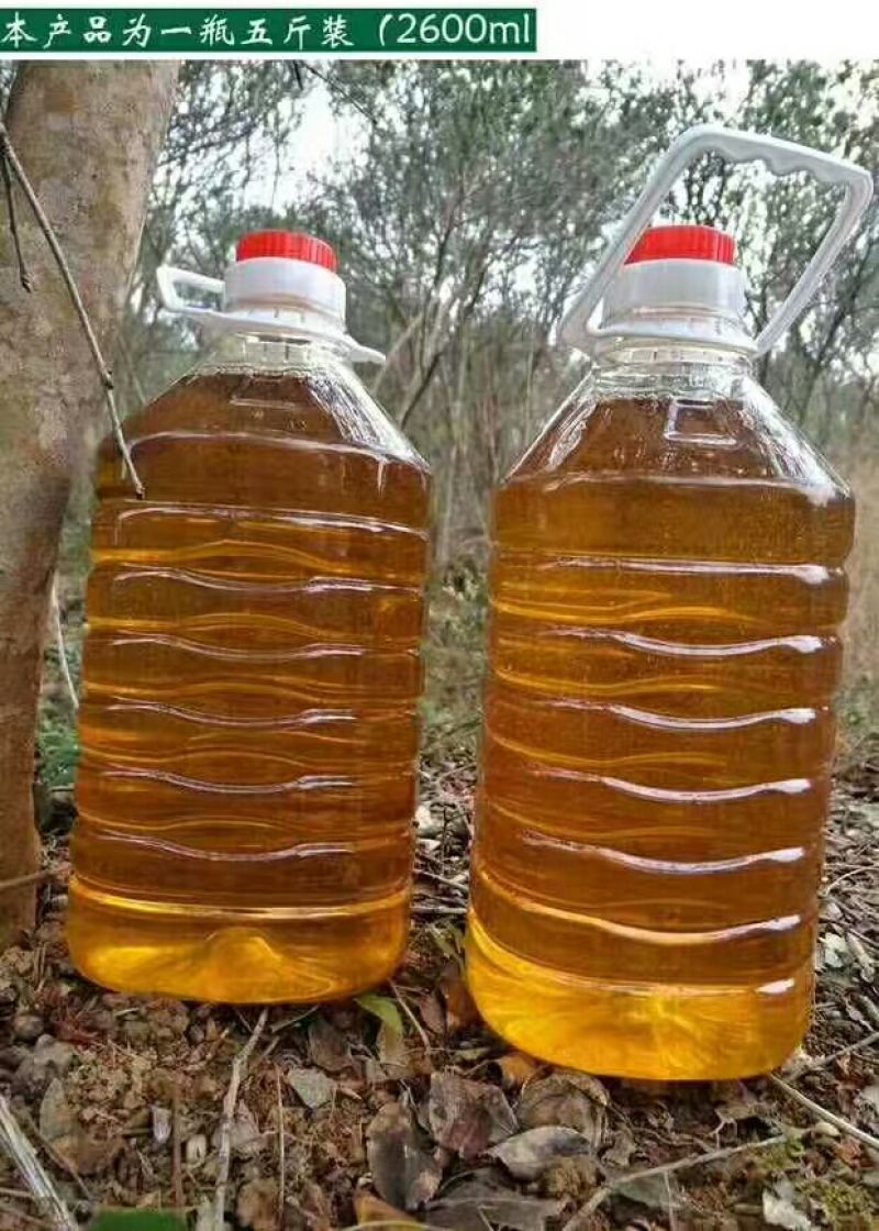 油茶籽100%以上