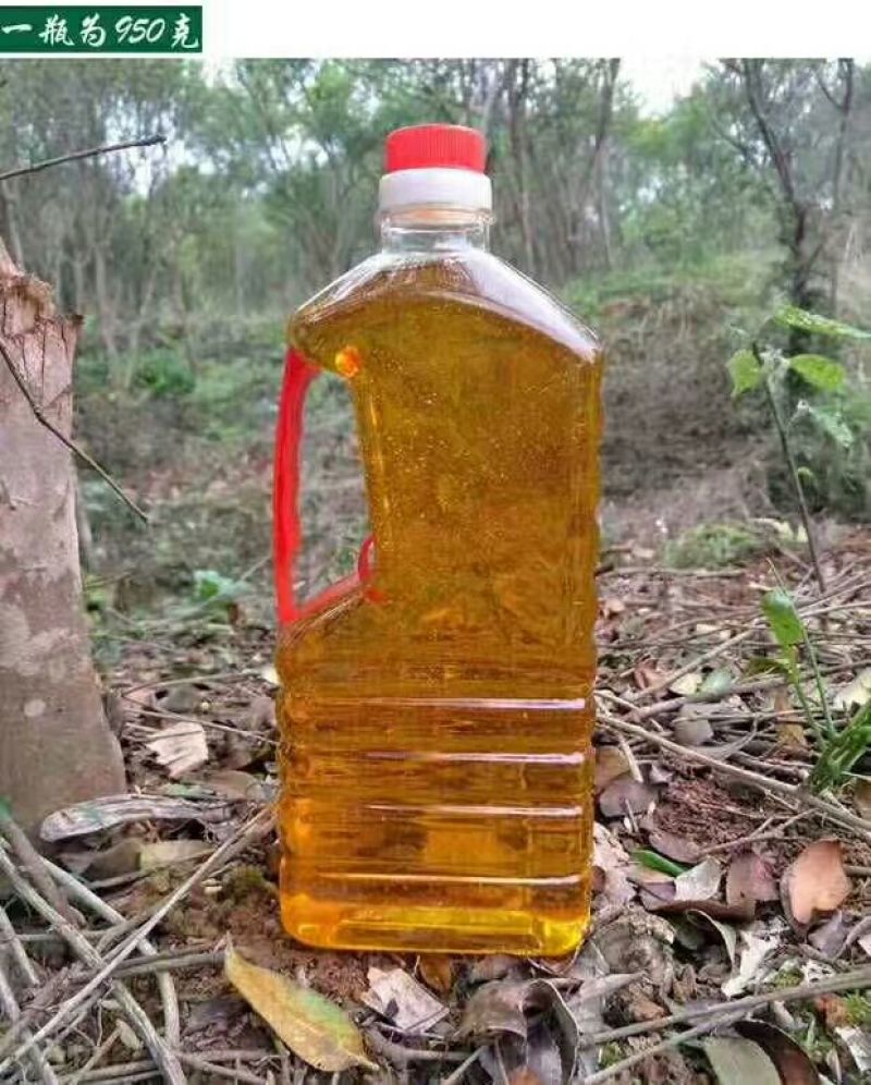油茶籽100%以上