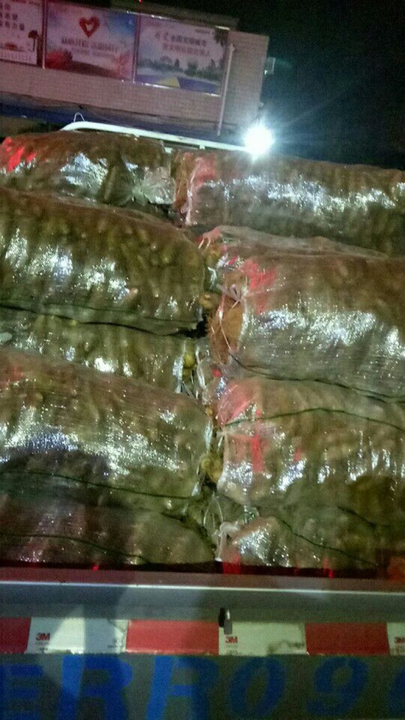 广东特产毛薯，基地直供，货源充足，走货快，欢迎前来选购