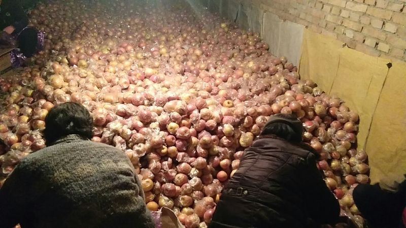 红富士苹果75mm以上膜袋