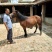肉马400~500kg