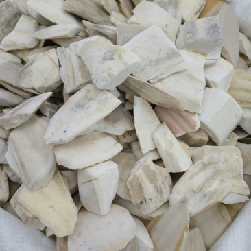 海螵蛸乌贼骨福建1公斤起批无硫不包邮正品