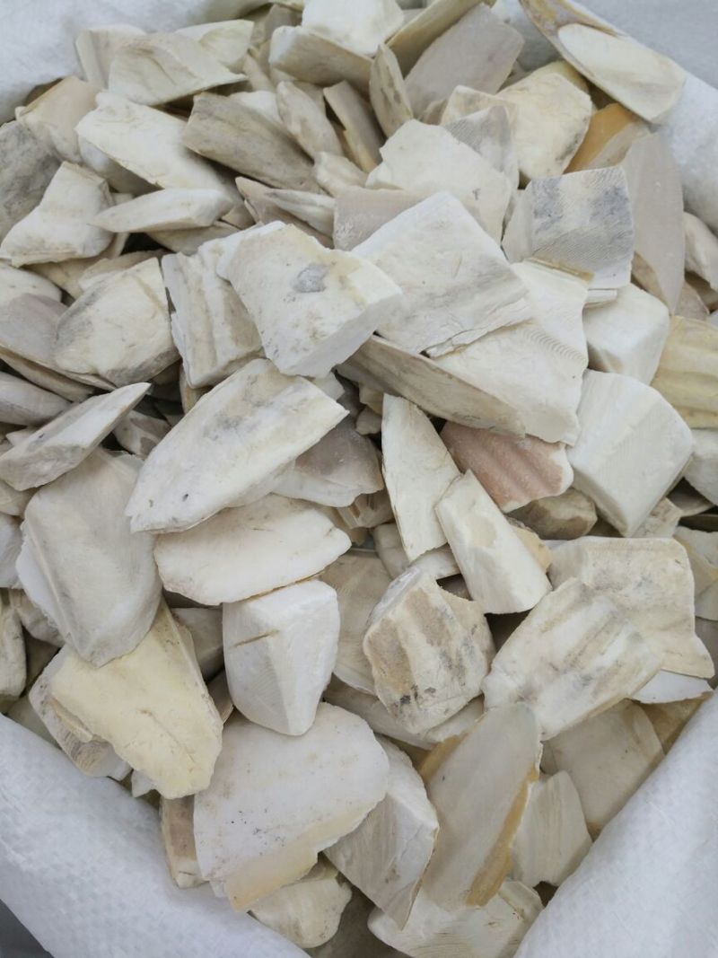 海螵蛸乌贼骨福建1公斤起批无硫不包邮正品