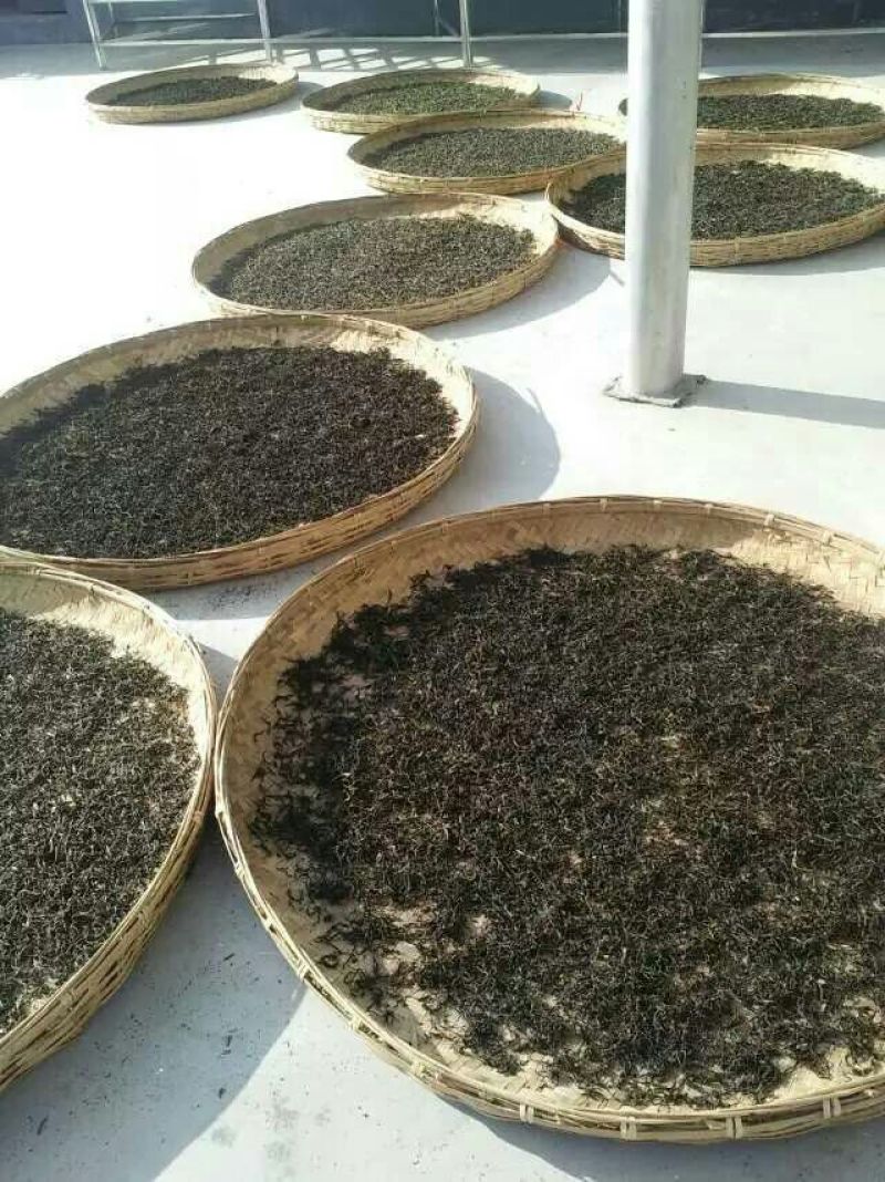 百年大树茶特级