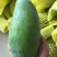 越南进口大青芒10两以上非玉芒