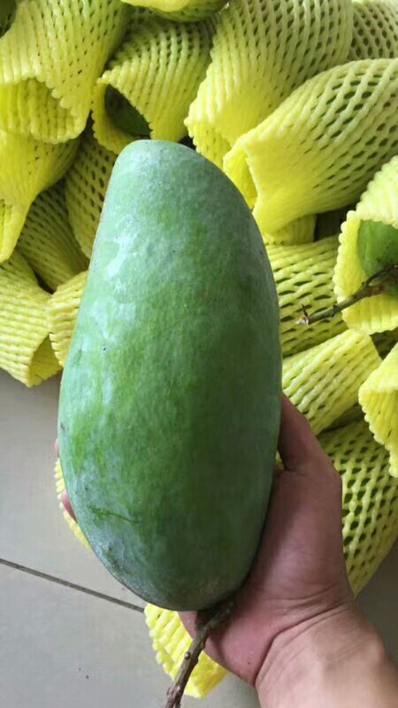 越南进口大青芒10两以上非玉芒