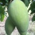 越南进口大青芒10两以上非玉芒