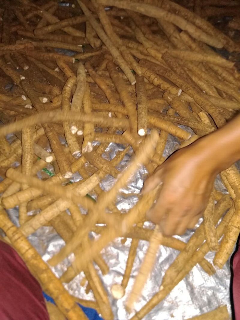 牛大力次牛小手指大小
