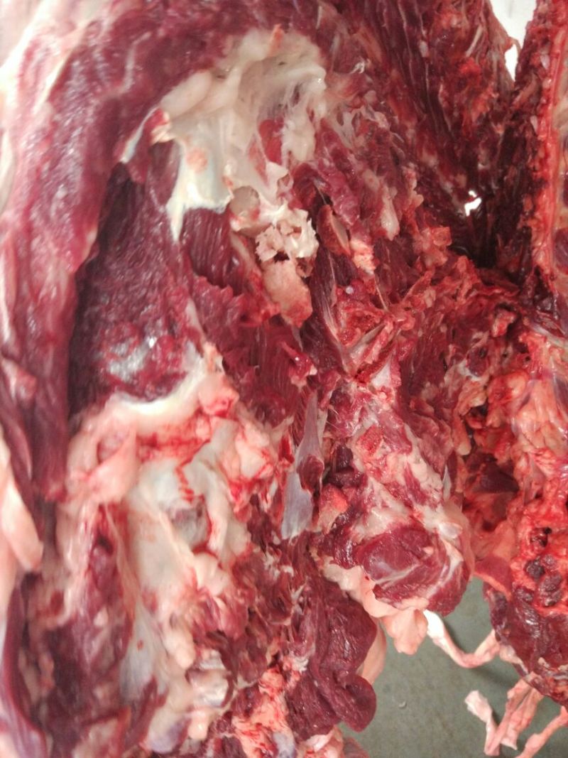 驴肉鲜货