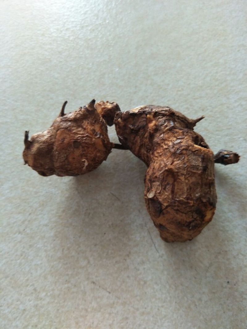 土茯苓统个