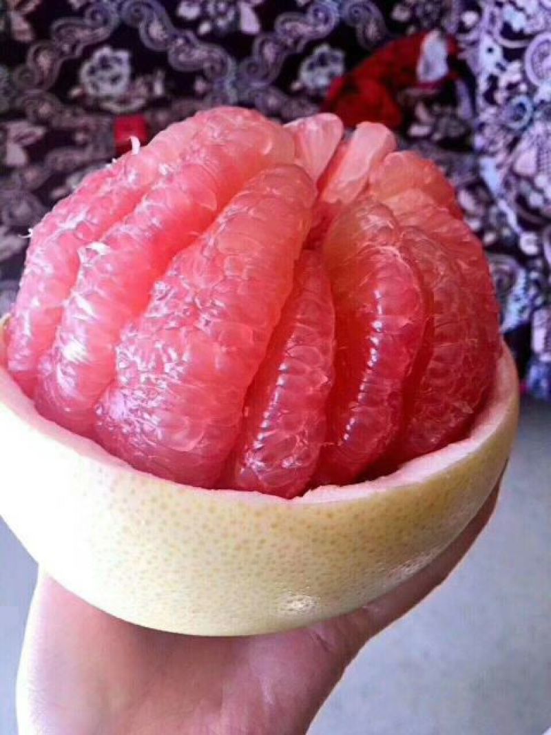 精品红心柚/白柚/皮薄/果肉无核/肉软多汁，量大从优