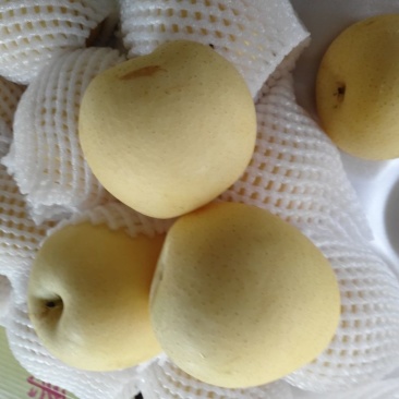 皇冠梨纸箱250~300g