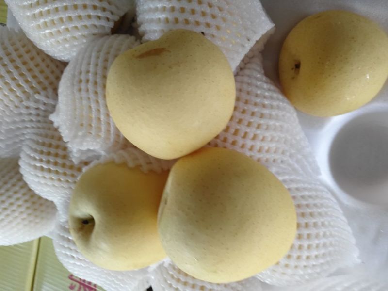 皇冠梨纸箱250~300g