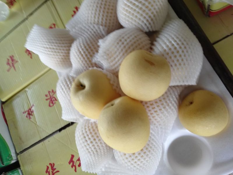 皇冠梨纸箱250~300g
