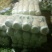 玲珑黄，黄心大白菜4--6斤，外表青秀，不烧心，不烧边，