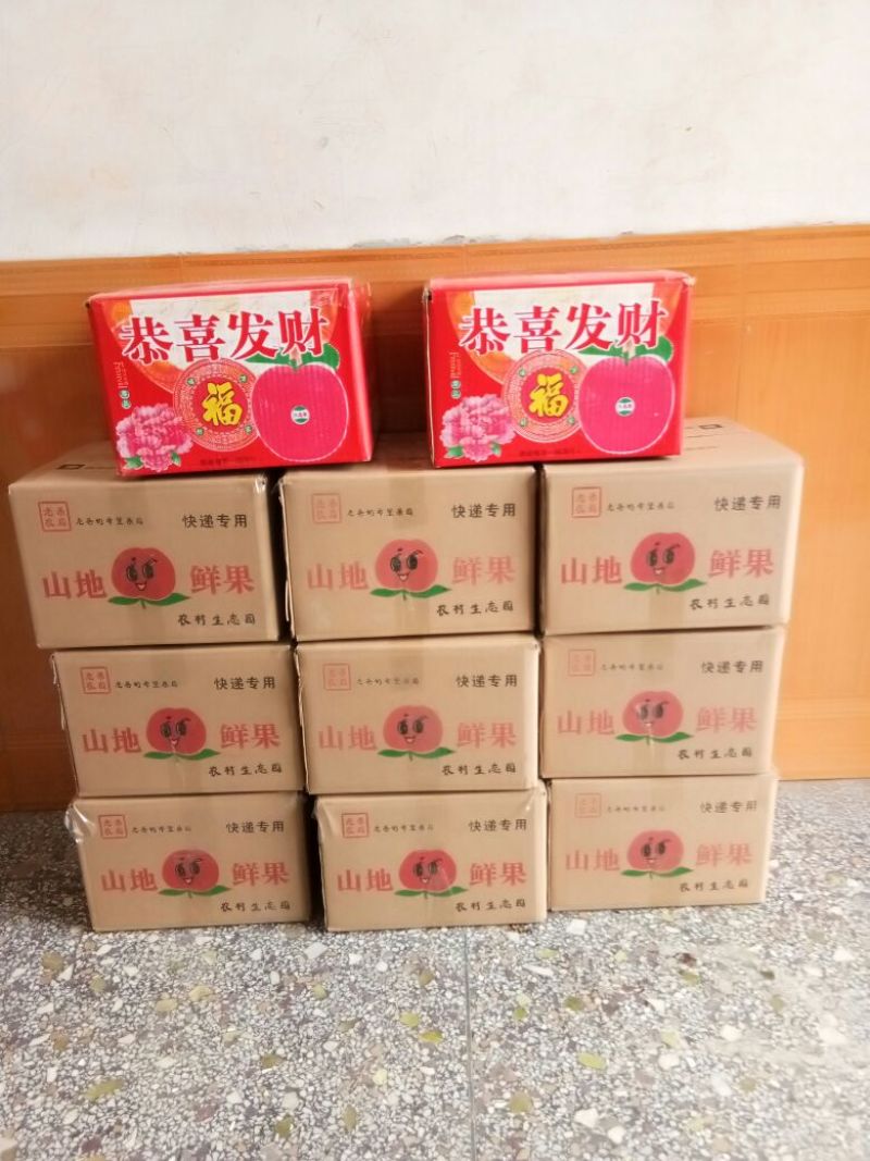 红富士苹果80mm以上膜袋
