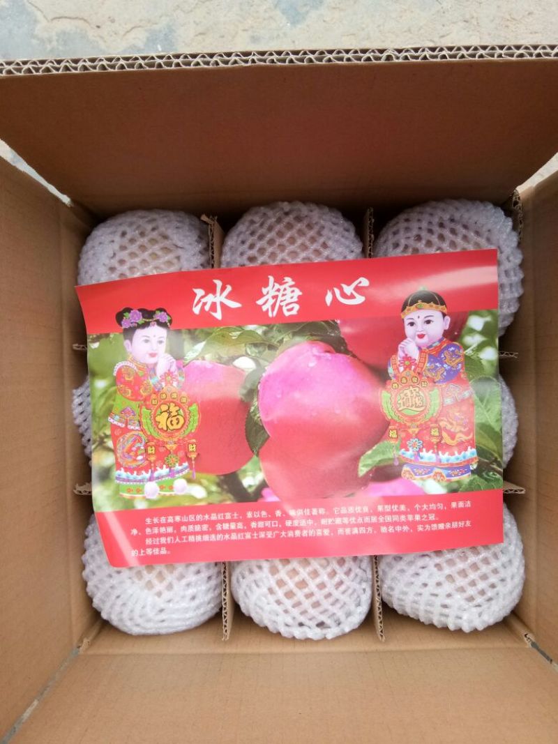 红富士苹果80mm以上膜袋
