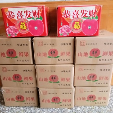 红富士苹果80mm以上膜袋