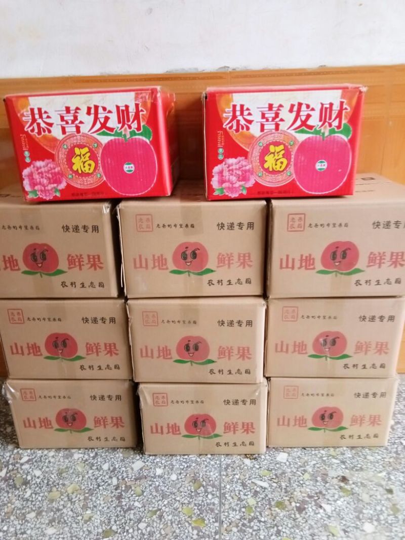 红富士苹果80mm以上膜袋