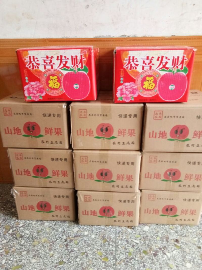 红富士苹果80mm以上膜袋