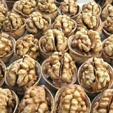 新疆炒核桃全国包邮一手货源对接各大电商批发商