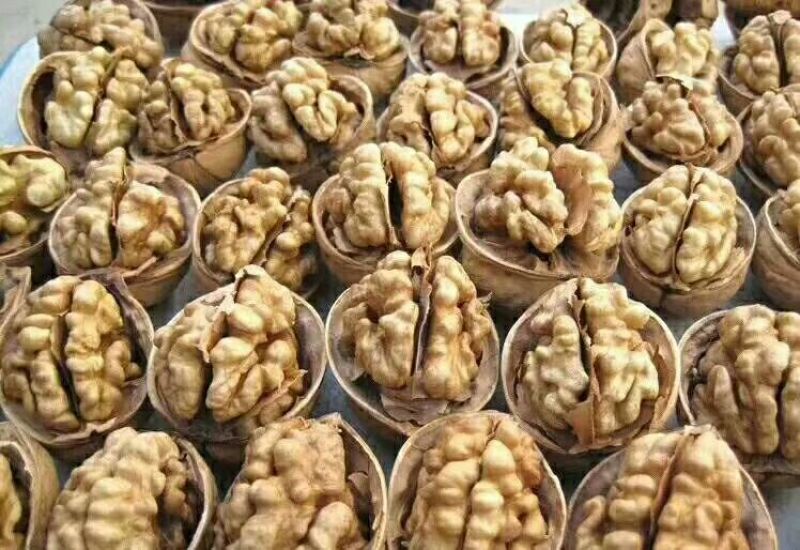 新疆炒核桃全国包邮一手货源对接各大电商批发商