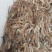 河虾冰鲜虾26~30只/kg