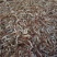 河虾冰鲜虾26~30只/kg