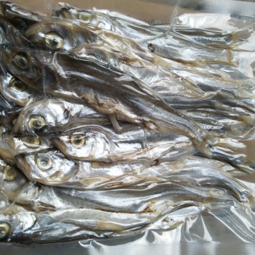 风干鱼