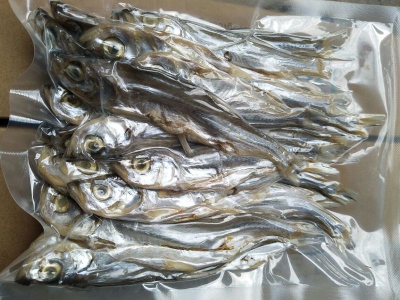 风干鱼