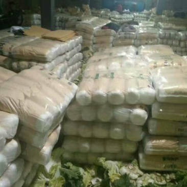 黄心大白菜，外表青秀，不烧边，不烧心，产地直供一手货源