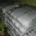 河北精品黄心大白菜大量现货供应一手货源品质保证代发全国