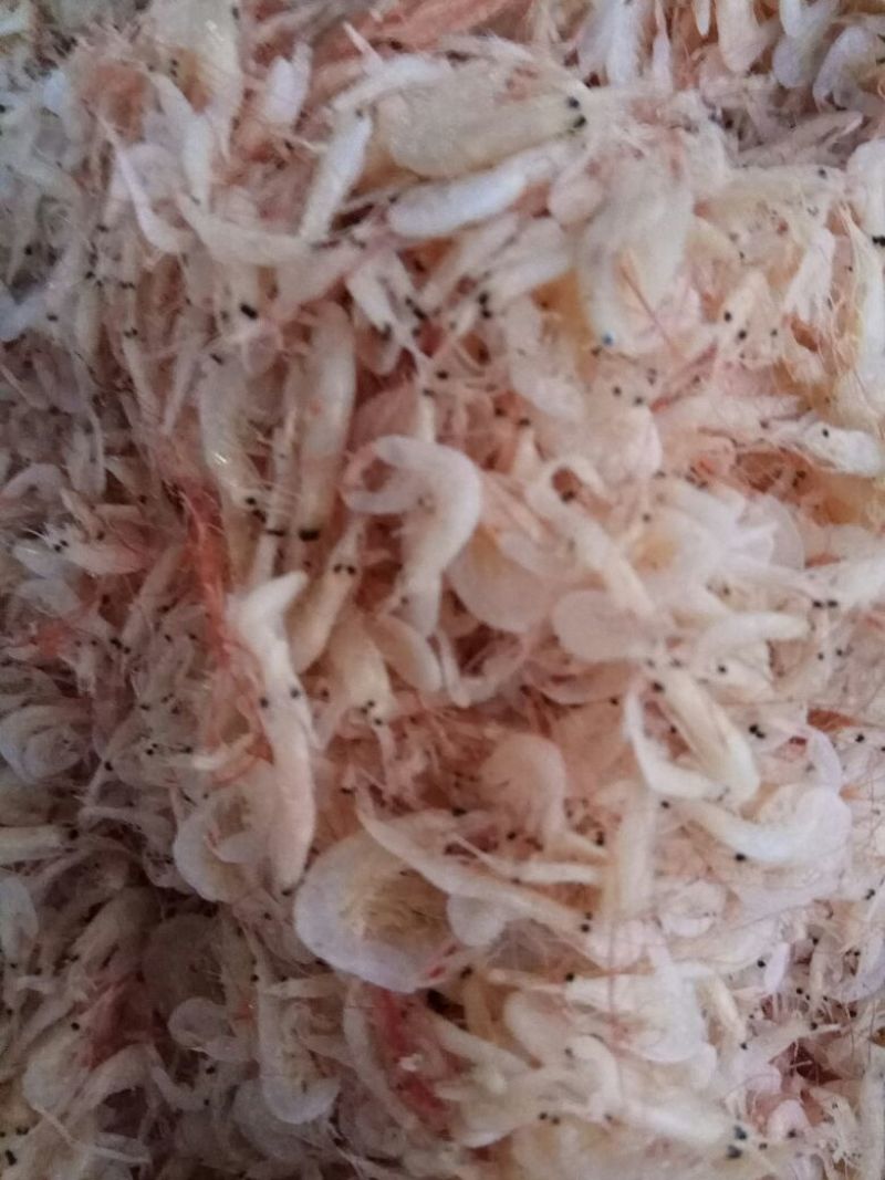 虾皮一级