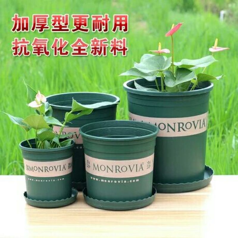 花盆加仑盆，塑料花盆适合各种花卉种植使用厂家供货