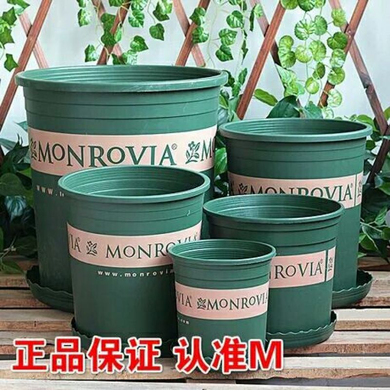 花盆加仑盆，塑料花盆适合各种花卉种植使用厂家供货
