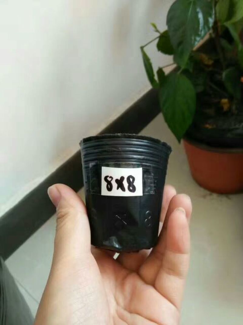 花盆花盆营养钵育苗袋营养袋营养杯育苗盆种植穴