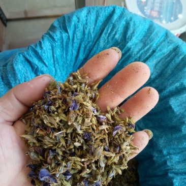 葛花