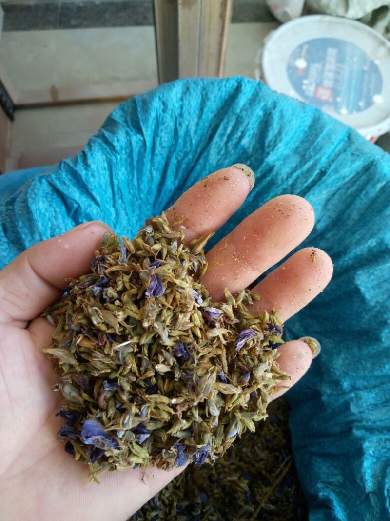 葛花