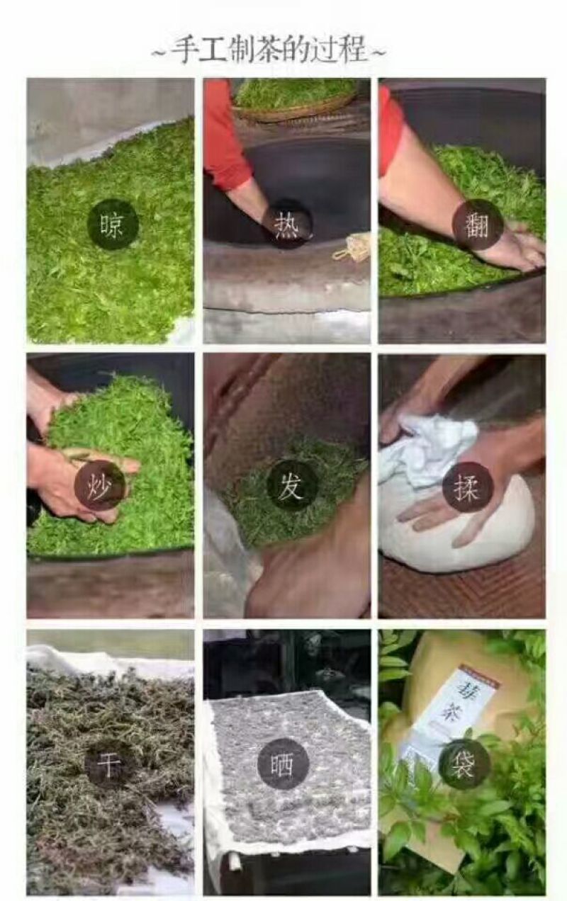 藤茶特级