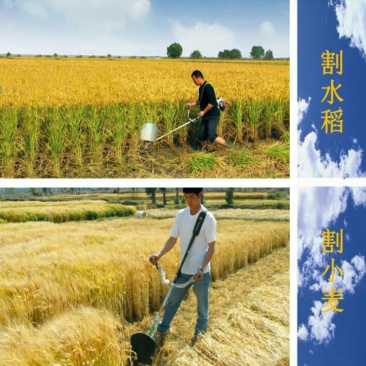 绿篱机割稻机除草机