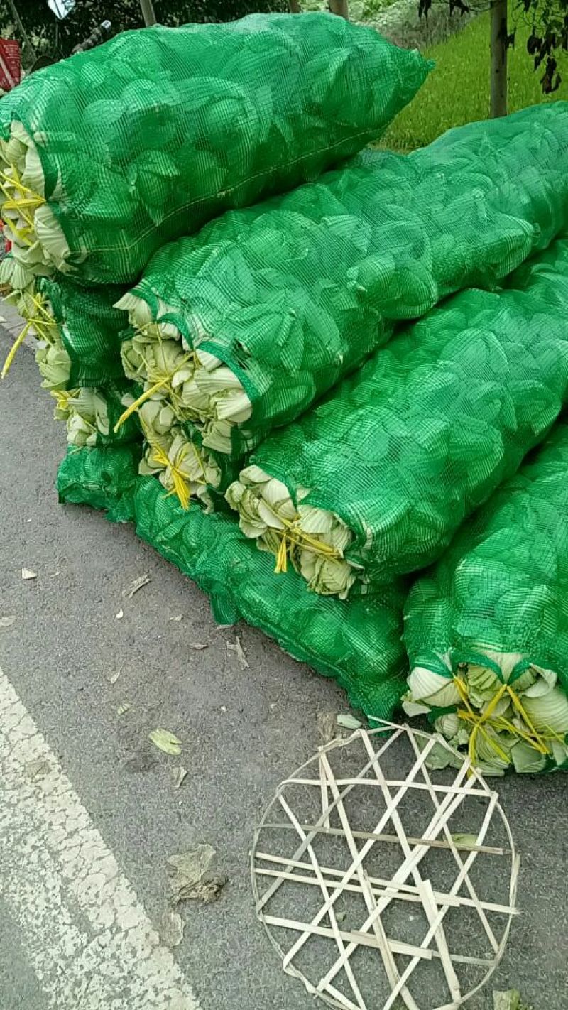 芥菜包心芥菜，通货五两以上